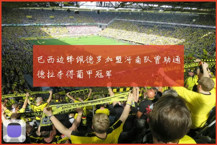 巴西边锋佩德罗加盟河南队曾助通德拉夺得葡甲冠军