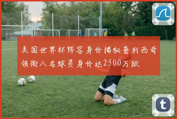 美国世界杯阵容身价揭秘普利西奇领衔八名球员身价达2500万欧